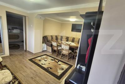 Casa cu 2 camere, 65 mp, teren 2910 mp, in Viile Satu Mare - 8