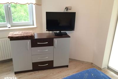 Garsonieră, mobilată în Vasile Aaron - 6