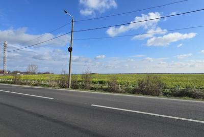Teren 3,8 ha in Vama Veche pe partea cu marea, la 300 ml de granita - 2