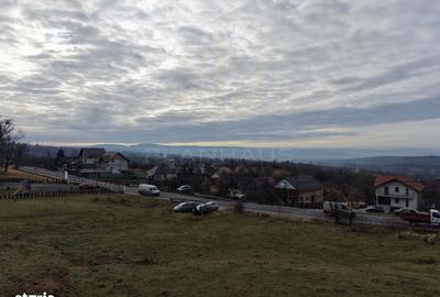 Spațiu comercial, în Central