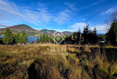 Teren de vanzare 12 ari - COLIBITA - 3