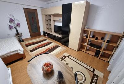 Garsonieră decomandată în Gorjului - 3