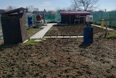 Teren de 1290 mp, în Măgurele - 5