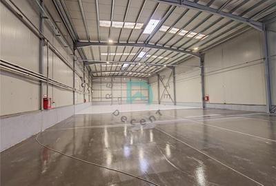 Hala industriala, 828 mp, Parc Industrial Prejmer. - 8