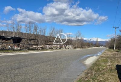 Teren intravilan de 12771 mp, în Bârsești - 2