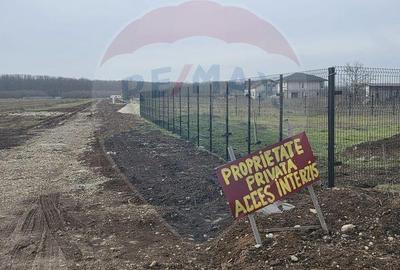 Teren de 704 mp, în Ciolpani - 2