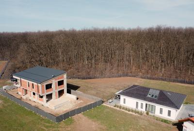 Teren de vanzare Dumbrava Vlasiei- Situat la marginea padurii mature Teren de vanzare Dumbrava Vlasiei- Situat la marginea padurii mature - 3