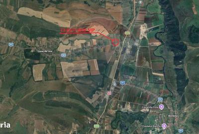 Teren de 8600 mp, în Iclod - 11