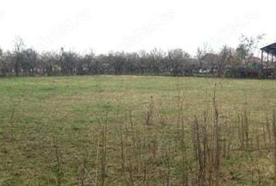 Casa ?i anexe, Cermei central, 2 curti, Front stradal 50 ML, 2880 mp - 5