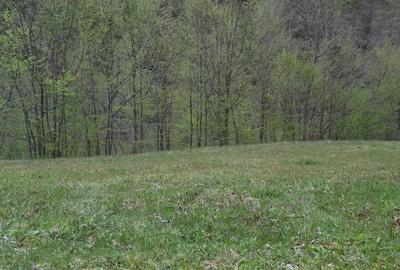 Teren Construcții extravilan de 1297 mp, în Isverna - 7