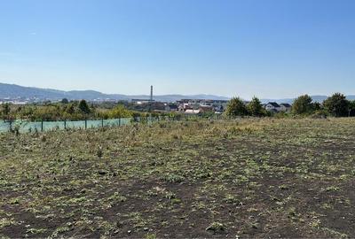 Spațiu comercial, în Petru Rareș - 6