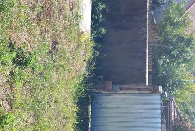 Casă cu 3 camere cu Teren 1054 Mp în Ucuriș - 2