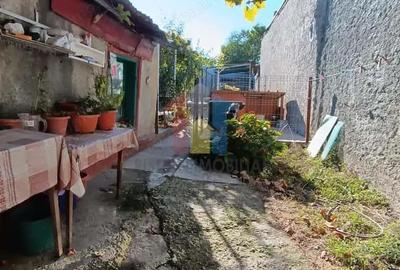 Teren de 247 mp, în Plantelor - 4