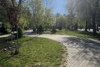 Apartament cu 3 camere decomandat în Central - 6