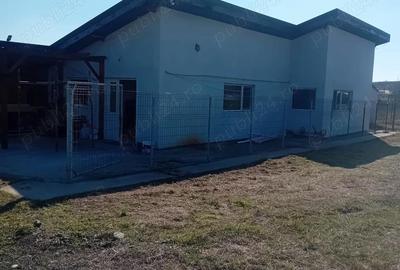 Casă cu 3 camere cu Teren 309 Mp în Mischii - 1