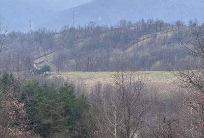 6000 MP teren intravilan, sat Bistrita, 9 Eur/MP - 2