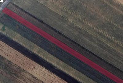 Teren de 2900 mp, în Tărlungeni - 2