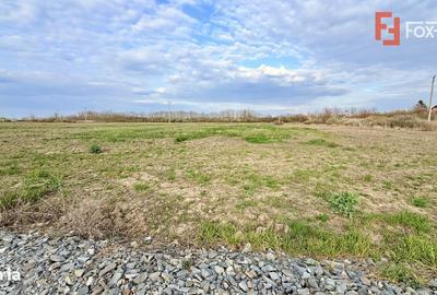 Teren de 502 mp, în Bucovăț - 3