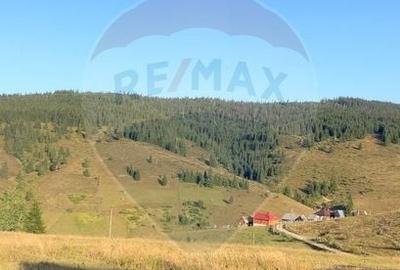 Teren agricol extravilan de 4914 mp, în Giurcuța de Sus - 2