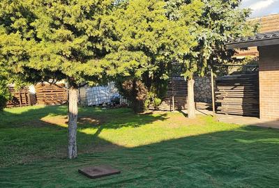 Propietate  km 4/5 .  1000 mp , din care 250 mp construcții - 6