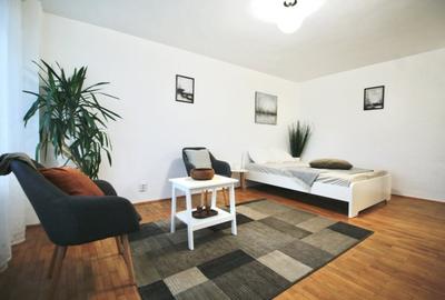 TEUL DOAMNEI-BERECHET, RENOVATA TOTAL, MOBILATA  MODERN, 0% COMISION! - 15