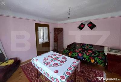 Casă cu 3 camere cu Teren 2800 Mp în Întregalde - 1