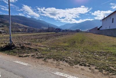 Teren de 1450 mp, în Gura Râului - 5