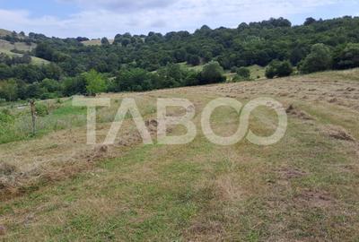 Teren de vanzare cu deschidere la padure 15600 mp in Hamba Sibiu - 2
