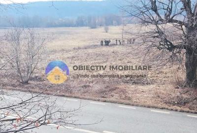 Teren Construcții intravilan de 3035 mp, în Bodești - 7