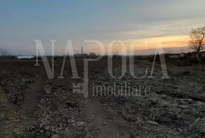 Teren de 523 mp, în Oncea