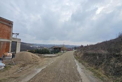 Teren Construcții intravilan de 900 mp, în Săldăbagiu de Munte - 2