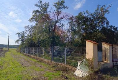 Teren Construcții intravilan de 800 mp, în Ghermănești - 9