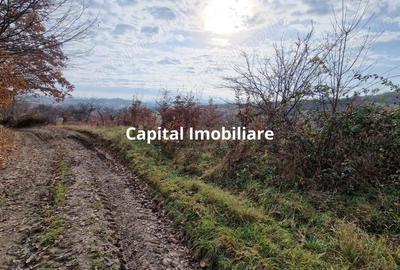 Teren de vanzare in Gro?i, Maramure?, 55 ari - 5