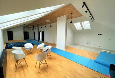 Penthouse, etaj1, 200 mp, MOBILAT SI UTILAT DE LUX, centru - 3