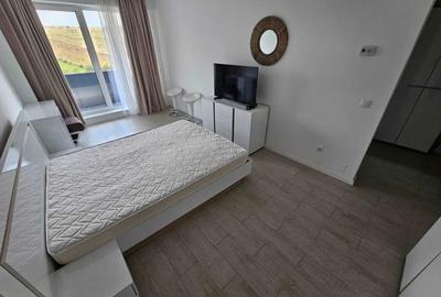 Apartament 1 camere str. Traian Vuia - 8