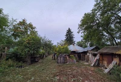 Casă cu 4 camere cu Teren 3682 Mp în Radu Vodă - 3