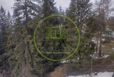 Apartament cu 2 camere decomandat, mobilat în Cioplea - 12