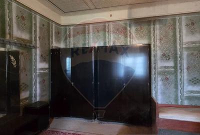 Casă individuală cu 3 camere cu Teren 7290 Mp în Socodor - 10