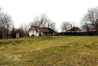 Teren Construcții intravilan de 2880 mp, în Șiria - 3