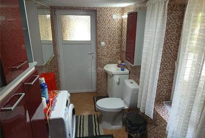 Casă cu Teren 1439 Mp în Anina - 14