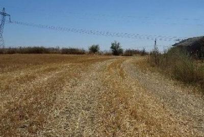 Teren extravilan Cernavoda, ID: R2755634 - 1