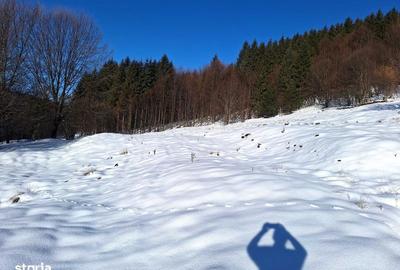 Teren de 8700 mp, în Tărlungeni - 6