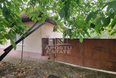 Casa individuala, curte generoasa, centrala proprie, sat Covaci - 24