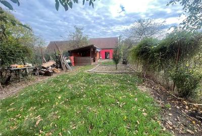 Casa singur in curte cu teren 774mp,zona Turnisor - D.D.Rosca - 15