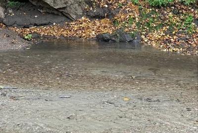 Spațiu comercial, în Central - 5