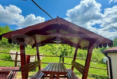 Cabane de vanzare, cu 3 camere, 50 mp, zona Brad Cabane de vanzare, cu 3 camere, 50 mp, zona Brad - 9