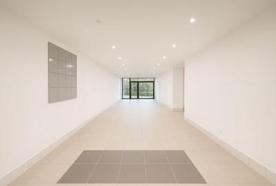 Spatiu comercial, 230 MP utili, 10 parcari, zona Vivo - 2