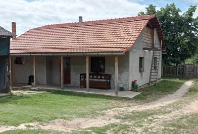 Casă cu Teren 6500 Mp în Șimian - 7