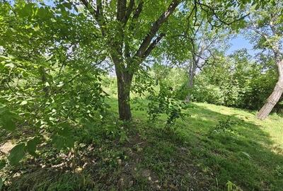 Casa spatioasa de vanzare in centrul satului Racaciuni  teren generos, livada, - 16