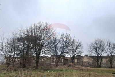 Teren Intravilan 18,546mp in Tunarii Vechi - 7